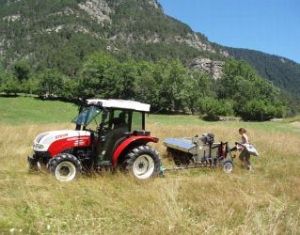 Agricoltura, Aosta e Grenoble sperimentano sementi di specie autoctone