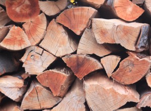 Avviso di vendita di legna all'incanto con scadenza 28 ottobre