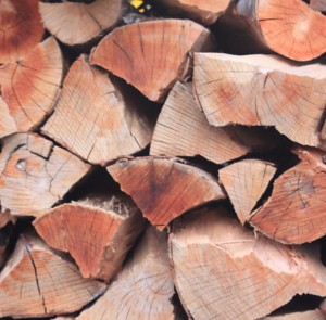 Aosta, il Comune mette all'asta 36 cataste di legna