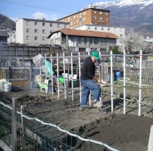Arpa: metalli pesanti negli ortaggi coltivati ad Aosta