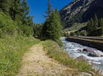 Parco Nazionale Gran Paradiso, aperto a Valsavarenche un nuovo sentiero natura