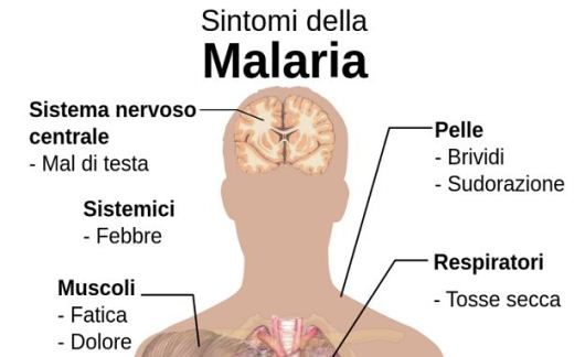 malaria3