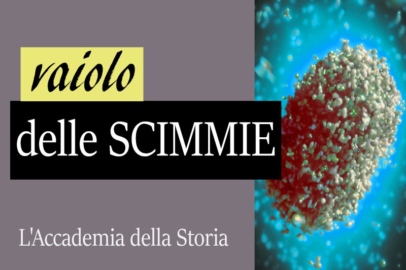 Anteprima