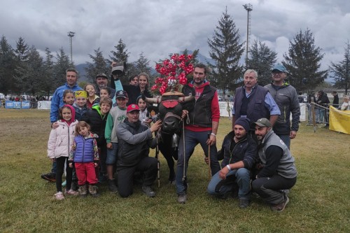 Victoire di Gildo Bonin