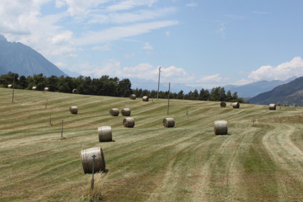 I principali provvedimenti approvati dalla Giunta regionale della Valle d'Aosta