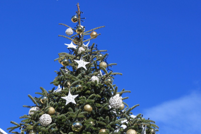 Albero di Natale