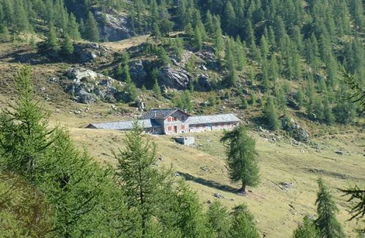 Psr, un bando per la manutenzione e il restauro degli alpeggi