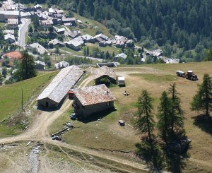 Investimenti per aziende agricole, presentate domande per 11,4 milioni