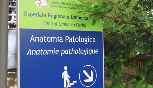 Anatomia-patologicax530