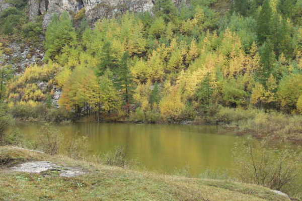 Autunno