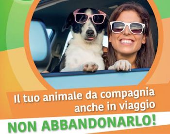Estate, campagna in farmacia contro l'abbandono degli animali domestici