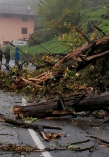 Uccisi da albero caduto a Lillanes, due richieste di rinvio a giudizio