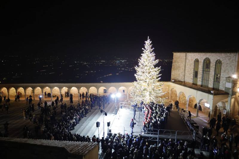 Acceso ad Assisi l'albero di Natale donato dalla Valle d'Aosta