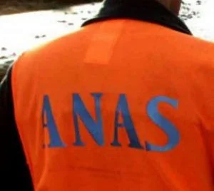 Anas