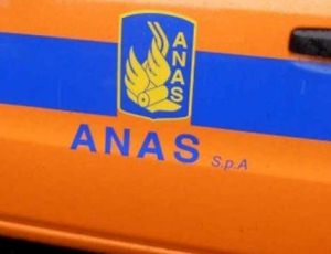 Anas