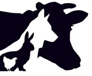 Animali domestici e sicurezza alimentare, ciclo di incontri sul territorio 