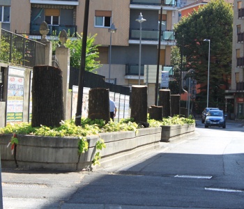 Alberi tagliati in corso Saint Martin