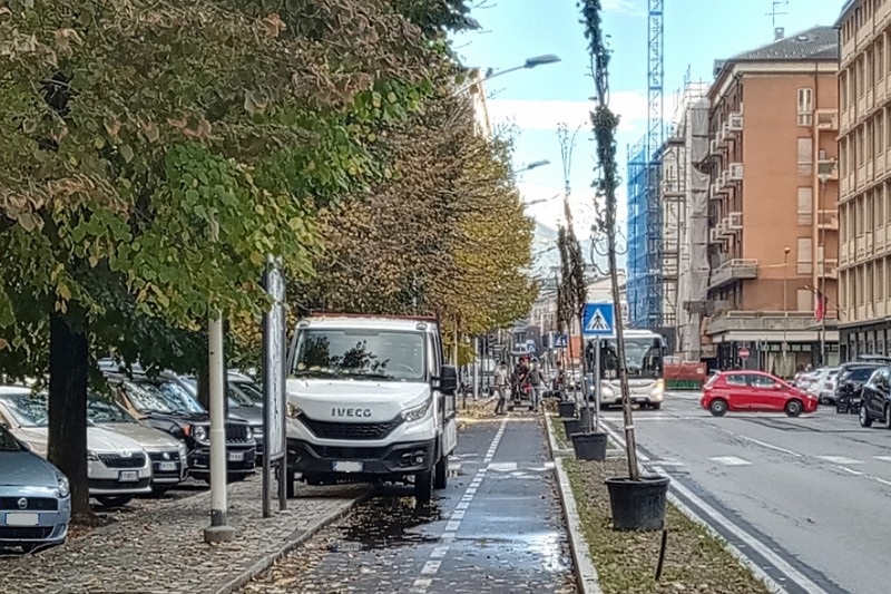 Piantumazione alberi