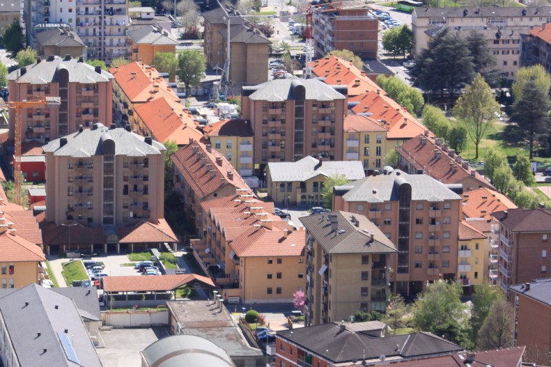 Aosta, chihuahua picchiato e ucciso al quartiere Cogne