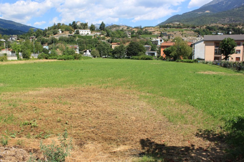 Il terreno del quartiere Dora Il terreno del quartiere Dora
