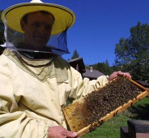 Apicoltura in allarme per un focolaio di un coleottero infestante