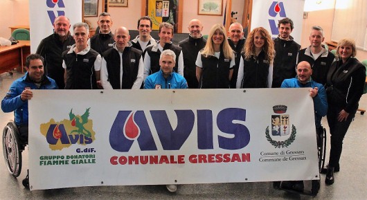 avis-staffettax530