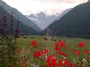 Cogne, premiati i vincitori del concorso fotografico Balcone fiorito