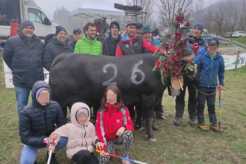 Batailles de Reines Batailles de Reines