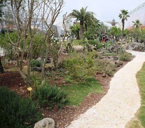 biodiversity-park