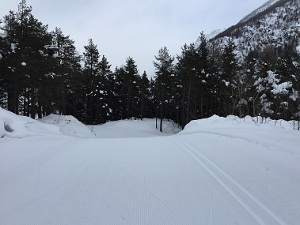 Bionaz, valanghe danneggiano chalet e alpeggio