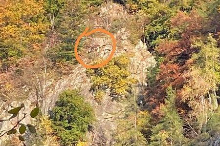 foto Corpo forestale Valle d'Aosta