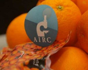 arance-airc