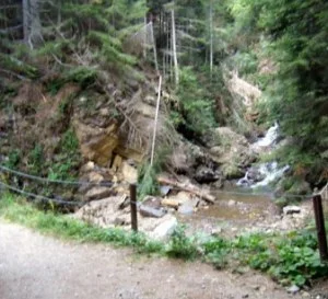 Piano forestazione 2017, parere favorevole della Commissione