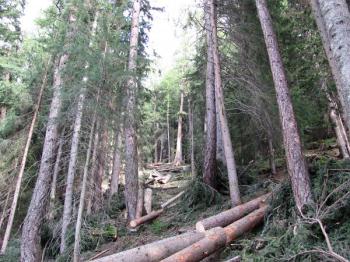 Cantieri idraulico-forestali, dal 2018 più giornate lavorative e nuova graduatoria