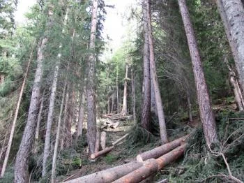 Cantieri idraulico-forestali, dal 2018 più giornate lavorative e nuova graduatoria