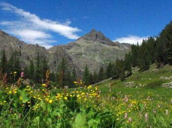 Parco naturale del Mont Avic