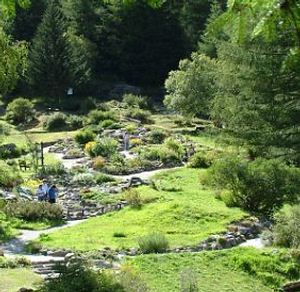 A Cogne riapre il giardino botanico Paradisia