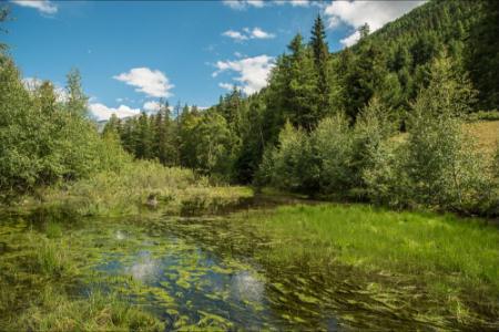 Cogne, un nuovo sentiero natura tra Epinel e Buthier