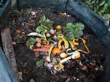 compost