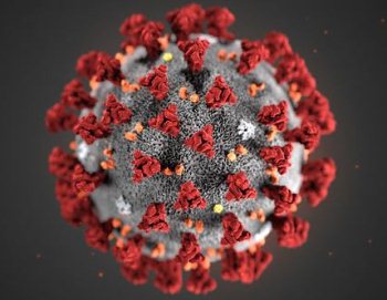 coronavirus