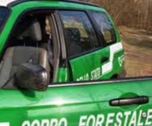 corpo-forestale