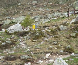 Ai piedi del Monte Bianco riapre per l'estate il giardino Saussurea