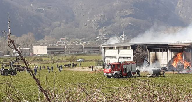 Incendio in stalla