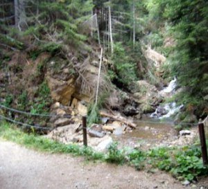 Piano forestazione 2017, parere favorevole della Commissione