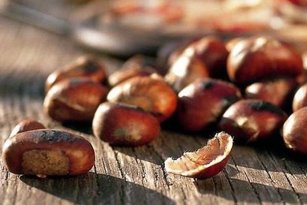 Castagnata della solidarietà a Saint-Christophe