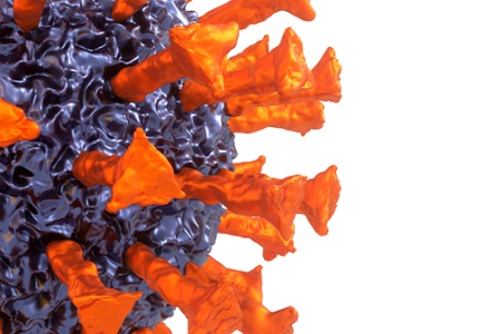 Coronavirus Coronavirus