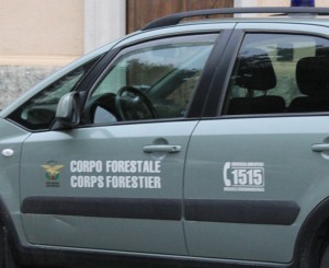 corpo forestale