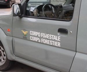 Legambiente: servono scelte di fondo sul futuro del Corpo forestale della Valle d'Aosta