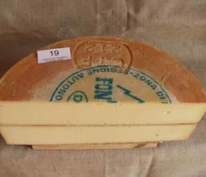 fontina