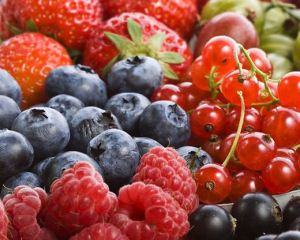 Ultimi giorni per iscriversi al corso di coltivazione dei piccoli frutti